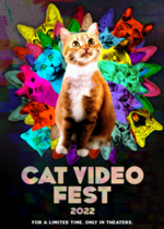 CatVideoFest 2022